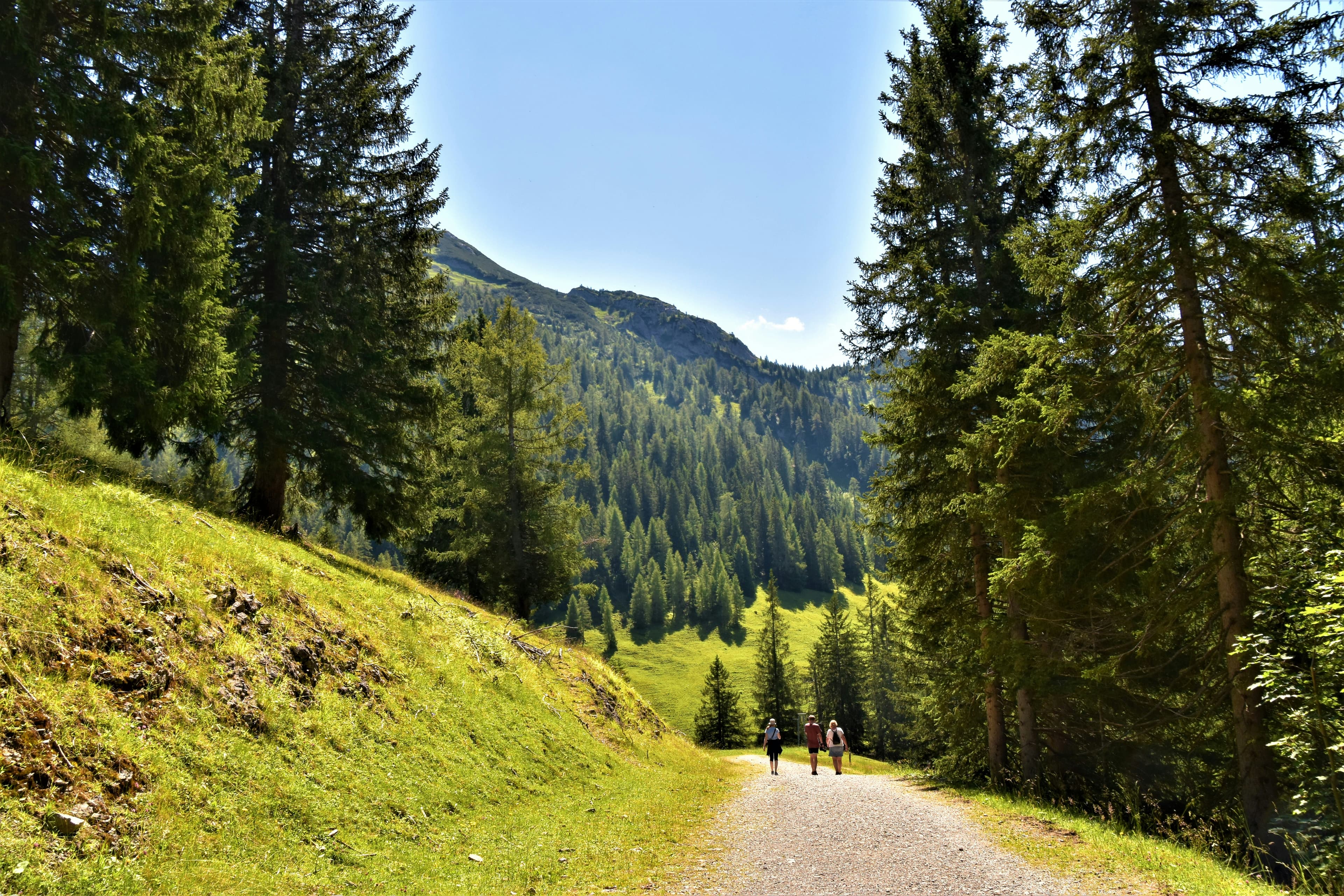 Sunny mountain trail representing the beginning of a health journey